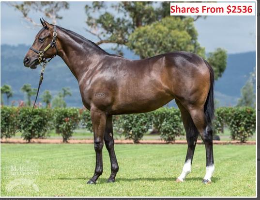 Pride Of Dubai X Calvados Filly