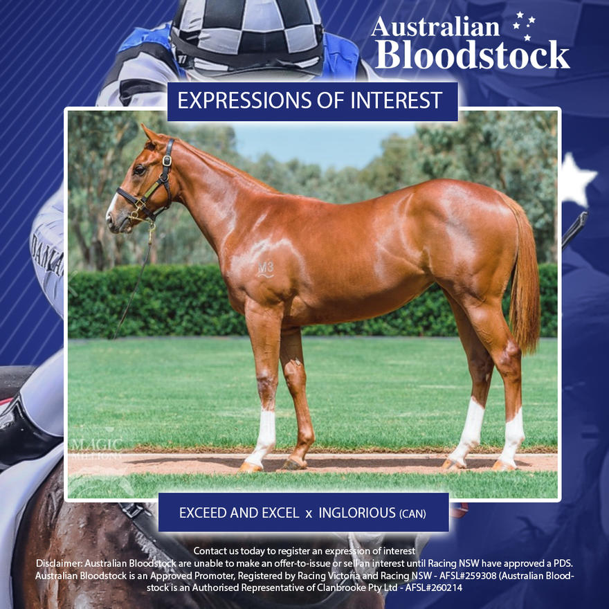 Kris LEES pick of the sale