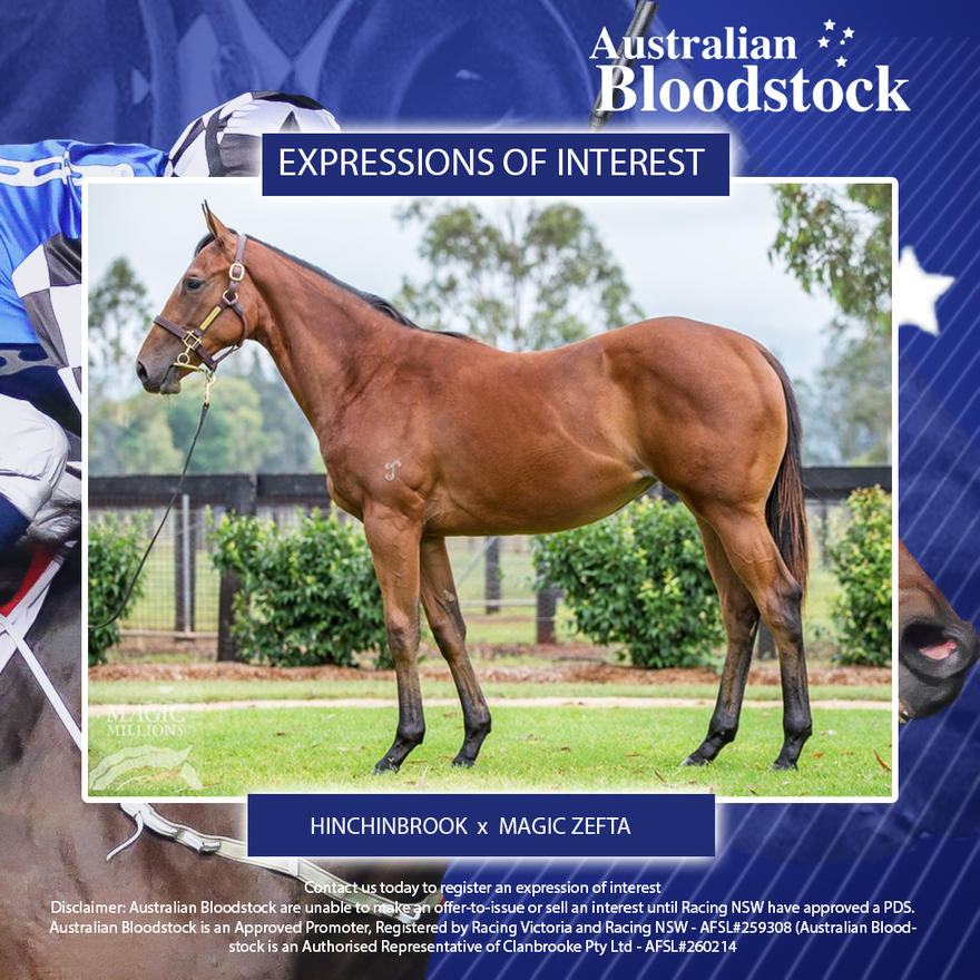Half to Denmagic from a proper sire