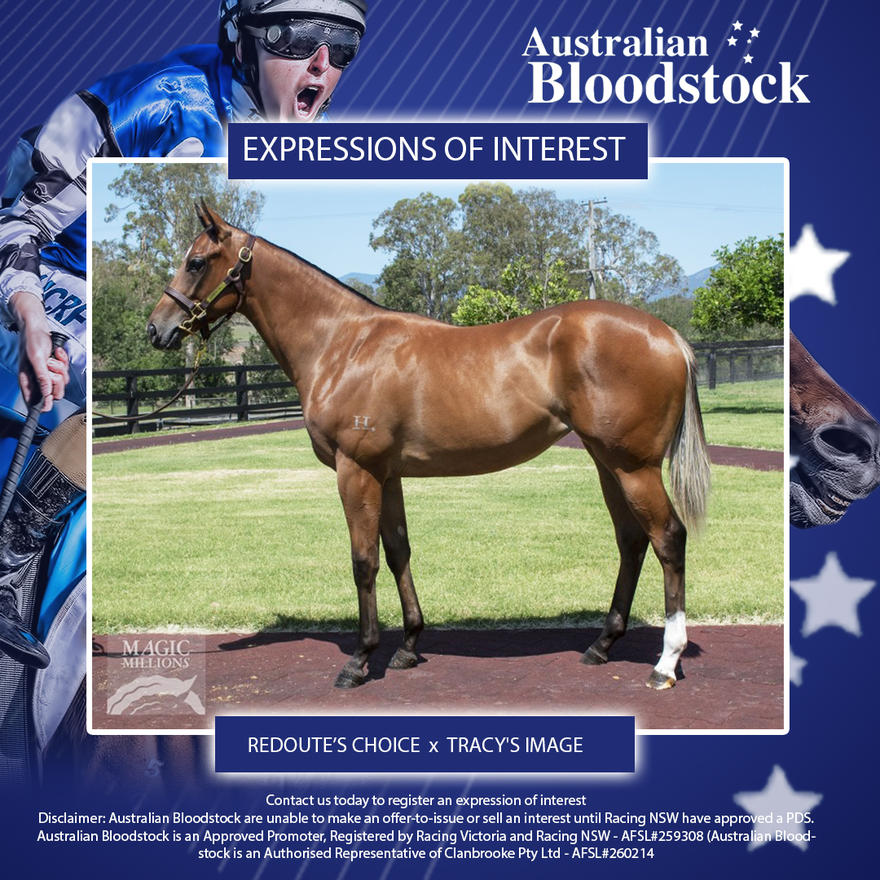 Redoute's Filly from the family of Typhoon Tracy