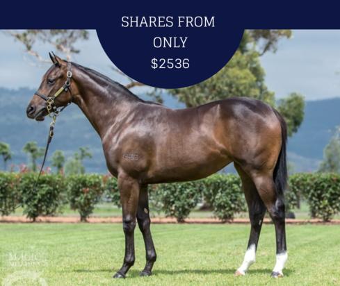 Pride Of Dubai X Calvados Filly