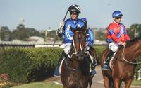 Newcastle's Kris Lees claims first home Newmarket via Princess Posh