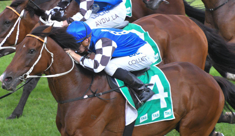 McEvoy Sticks With Red Cardinal in Tancred Stakes
