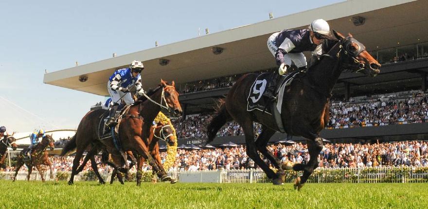 Australian Bloodstock Secures another Top Stayer