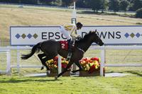 Anglo Australian Racing Team Up with OTI as Fandango heads to Australia