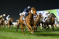 Medicean Man Wins Again