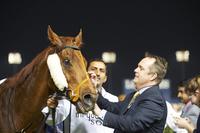 Medicean Man Primed For Final Trip To The Racetrack