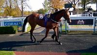 Zophilly wins at Bath