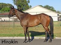 HIROKIN Makes it Seven Wins