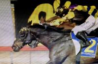 RAIJINZ Posts his Seventh Career Win