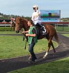 PRIVILY Posts a Win at second Start