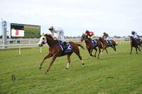 NAPOLEON Scoops the Newcastle Hunter Stayers' Cup