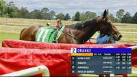 DAWN FLIGHT Breaks Maiden at Third Start