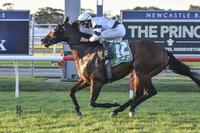 ROMAN WOLF Wins First Up at Newcastle