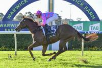 NIKOHLI BEAGLE Starts Campaign with Another Win