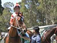 CHEEKY NUGGET Breaks His Maiden