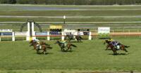 MISS CAPELLA Brilliant on Debut