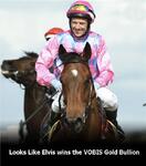 LOOKS LIKE ELVIS Stars on Pakenham Cup Day
