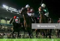 Rocky Takes On the Best at Moonee Valley