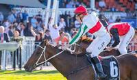 Wild celebrations after Massimo wins Lee-Steere Stakes