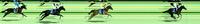 THREE SLADE BLOODSTOCK HORSES UNDEFEATED ALL WINNING ON DEBUT!