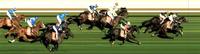 Race a SO YOU THINK! He's had a flurry of promising winners of late!