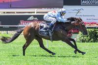 Faulty makes it four winners in two days for Team Wolfe