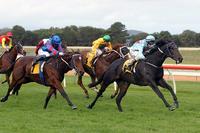 Team Wolfe dominate Albany Cup Day