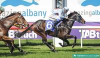 Another big day at Albany for Team Wolfe