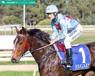 Shelby and Faulty faultless at Pinjarra