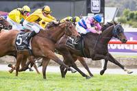 Big Belmont bonus for Arrum Boy