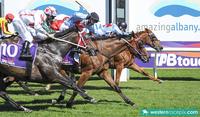 Team Wolfe dominates with Albany treble