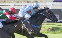 Lordhelpmerun set for Belmont trial
