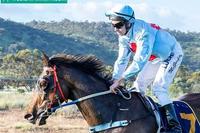 Jester Ferrari zooms to victory at York