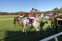 Gauged races away with the Mt Barker Cup