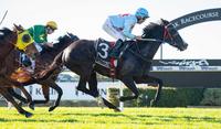 Two Belmont wins in four days for Team Wolfe