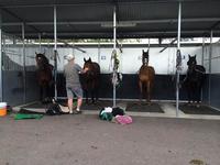 Stable has busy couple of days ahead