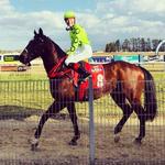 Great performance by stable at Bathurst