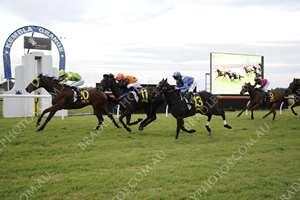 Prince Memnon - Kembla 04Jul2016.jpg