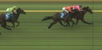 Syd's Coin wins on debut