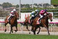 Spanish Reef wins at Flemington