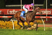Spanish Reef to return at Moonee Valley