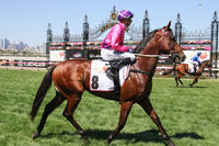 Keys 3YO's tackle Caulfield stakes races