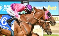 Like A Carousel Retires