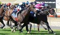 MAGICAL SPRING ENDS WITH CUP SUCCESS
