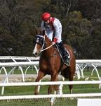 HOSPEDA SWOOPS TO WIN