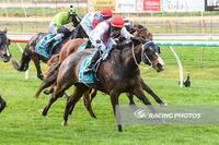 SOMETHING GRAND WINS HER MAIDEN AT BENDIGO