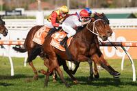 Double You Tee heads Ballarat's Gold Nugget line-up