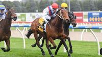 Wicklow Town makes it a Ballarat hometown feature triumph
