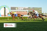UMGENI Wins Again At The Gold Coast!